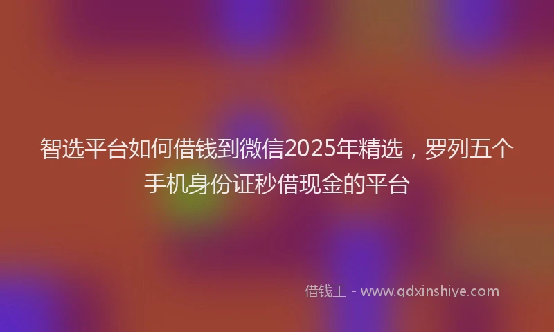 智选平台如何借钱到微信2025年精选，罗列五个手机身份证秒借现金的平台