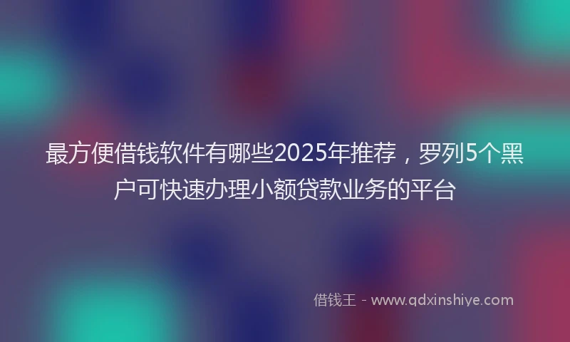 最方便借钱软件有哪些2025年推荐，罗列5个黑户可快速办理小额贷款业务的平台
