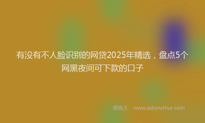 有没有不人脸识别的网贷2025年精选，盘点5个网黑夜间可下款的口子