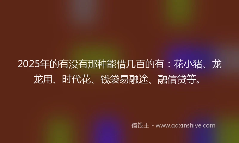 2025年的有没有那种能借几百的有：花小猪、龙龙用、时代花、钱袋易融途、融信贷等。