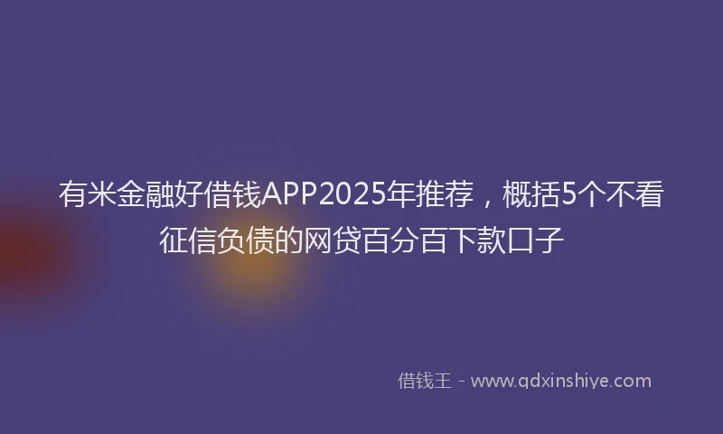 有米金融好借钱APP2025年推荐，概括5个不看征信负债的网贷百分百下款口子
