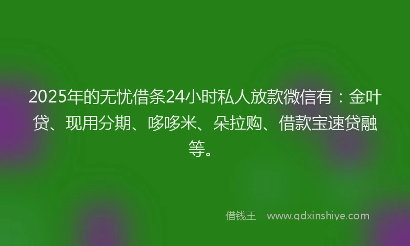2025年的无忧借条24小时私人放款微信有：金叶贷、现用分期、哆哆米、朵拉购、借款宝速贷融等。