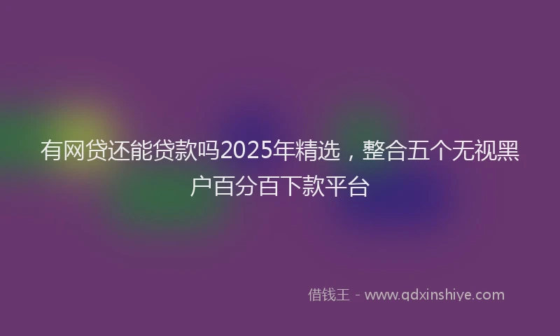 有网贷还能贷款吗2025年精选，整合五个无视黑户百分百下款平台