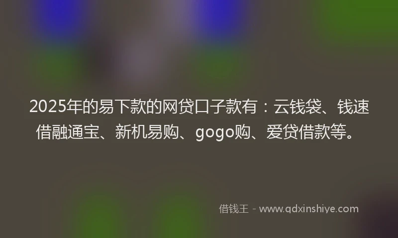 2025年的易下款的网贷口子款有：云钱袋、钱速借融通宝、新机易购、gogo购、爱贷借款等。
