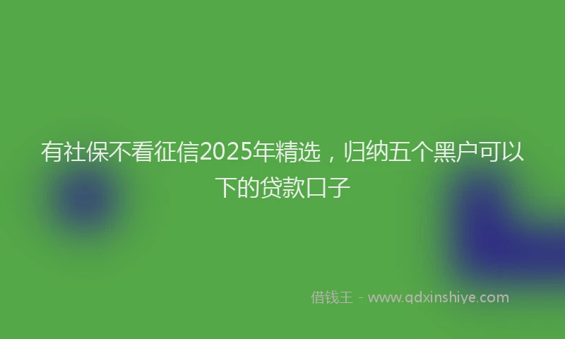 有社保不看征信2025年精选，归纳五个黑户可以下的贷款口子
