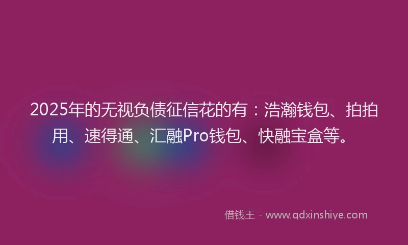 2025年的无视负债征信花的有：浩瀚钱包、拍拍用、速得通、汇融Pro钱包、快融宝盒等。