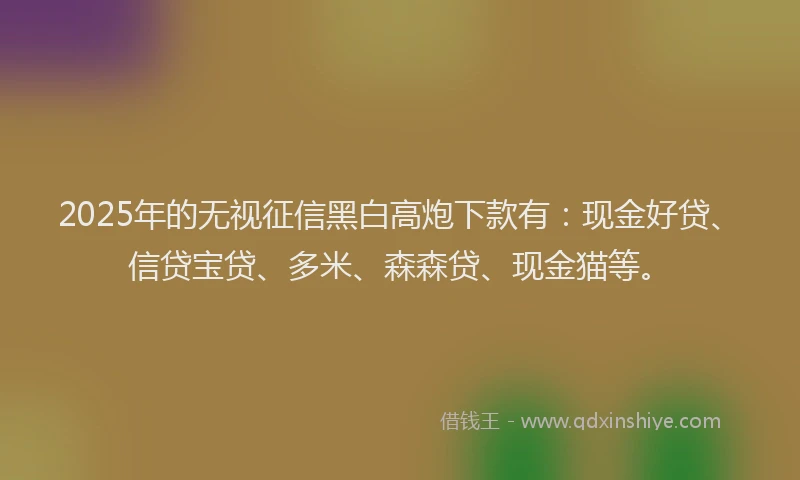 2025年的无视征信黑白高炮下款有：现金好贷、信贷宝贷、多米、森森贷、现金猫等。