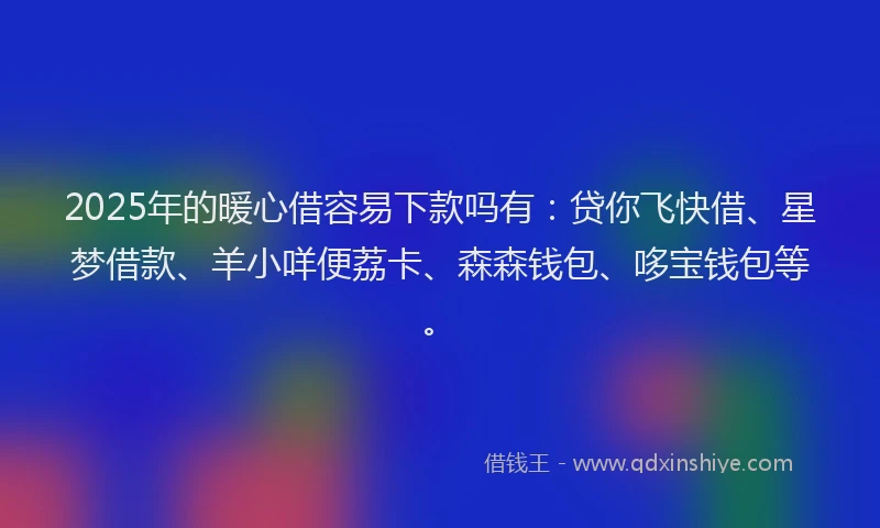 2025年的暖心借容易下款吗有：贷你飞快借、星梦借款、羊小咩便荔卡、森森钱包、哆宝钱包等。