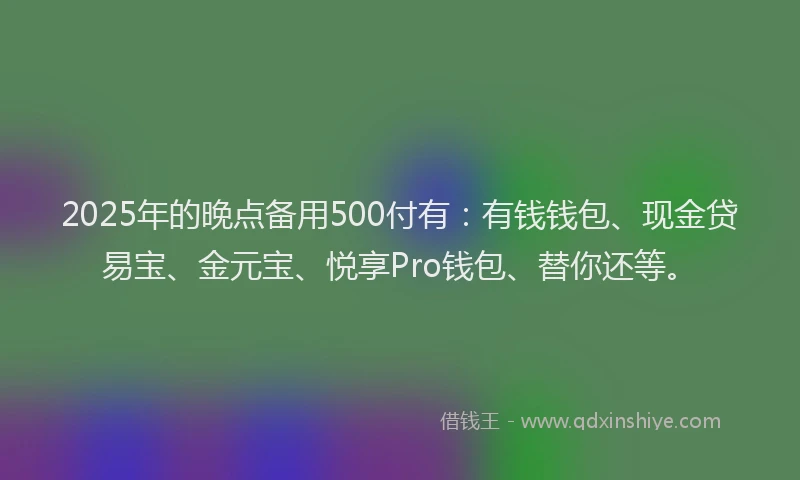 2025年的晚点备用500付有：有钱钱包、现金贷易宝、金元宝、悦享Pro钱包、替你还等。
