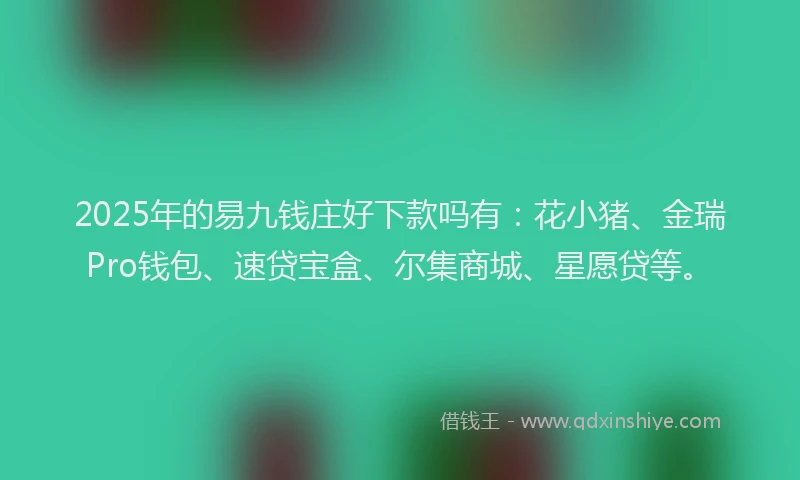 2025年的易九钱庄好下款吗有：花小猪、金瑞Pro钱包、速贷宝盒、尔集商城、星愿贷等。