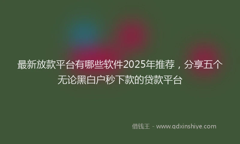 最新放款平台有哪些软件2025年推荐，分享五个无论黑白户秒下款的贷款平台