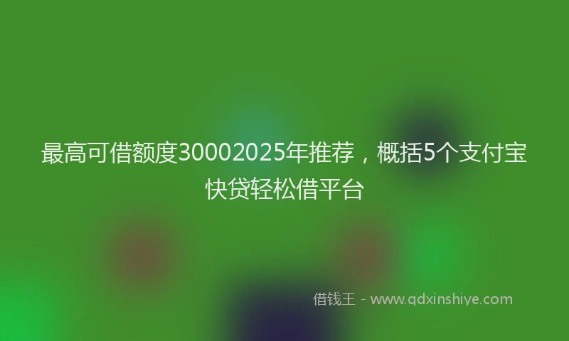 最高可借额度30002025年推荐，概括5个支付宝快贷轻松借平台