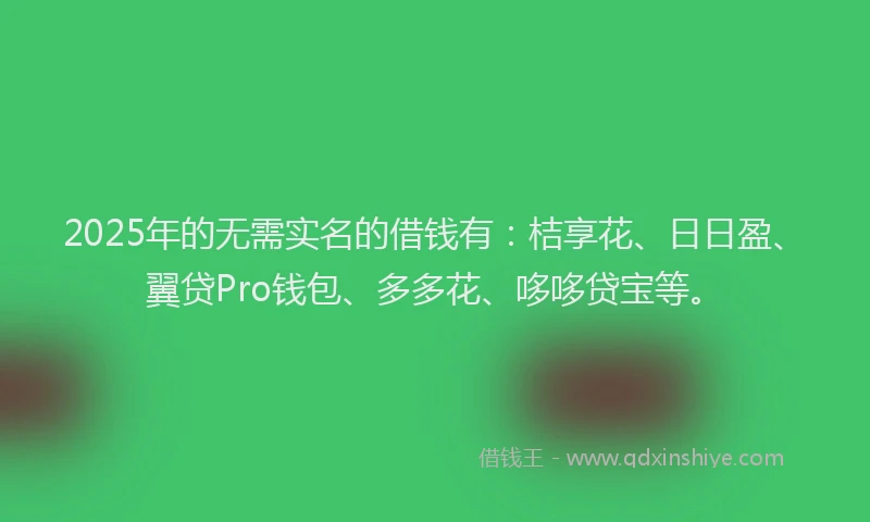 2025年的无需实名的借钱有：桔享花、日日盈、翼贷Pro钱包、多多花、哆哆贷宝等。