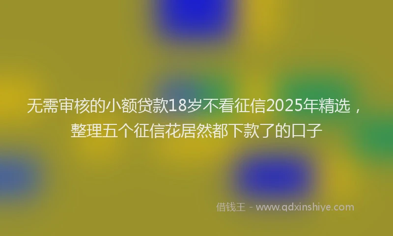 无需审核的小额贷款18岁不看征信2025年精选，整理五个征信花居然都下款了的口子