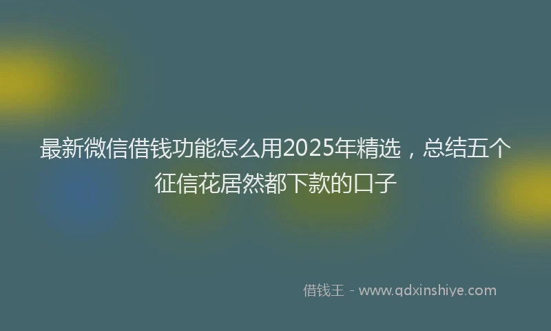 最新微信借钱功能怎么用2025年精选，总结五个征信花居然都下款的口子