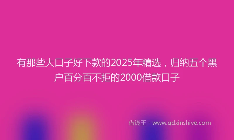 有那些大口子好下款的2025年精选，归纳五个黑户百分百不拒的2000借款口子