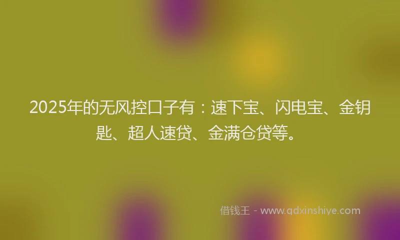 2025年的无风控口子有：速下宝、闪电宝、金钥匙、超人速贷、金满仓贷等。