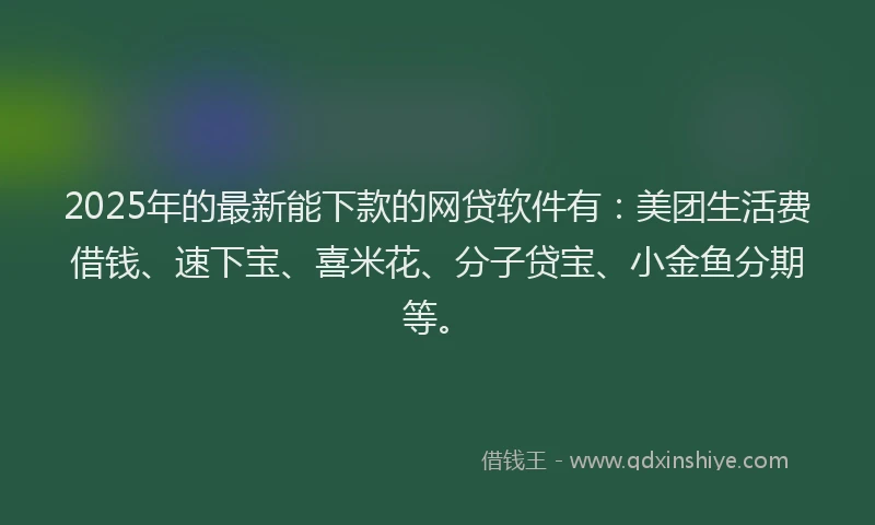 2025年的最新能下款的网贷软件有：美团生活费借钱、速下宝、喜米花、分子贷宝、小金鱼分期等。