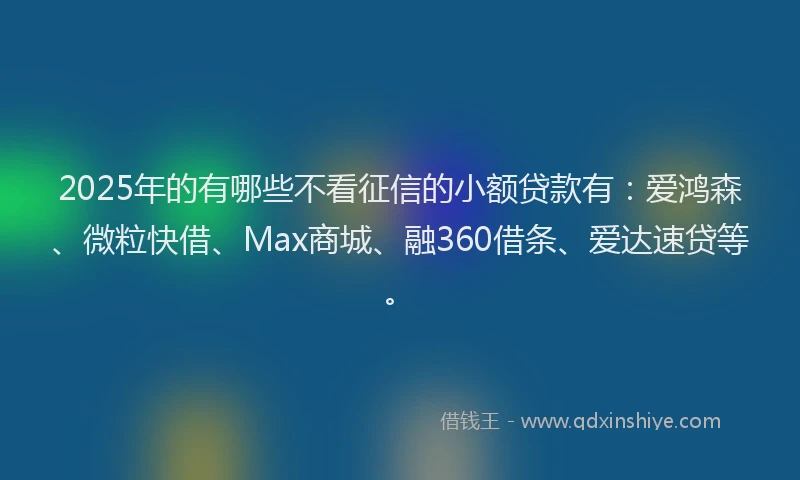 2025年的有哪些不看征信的小额贷款有：爱鸿森、微粒快借、Max商城、融360借条、爱达速贷等。