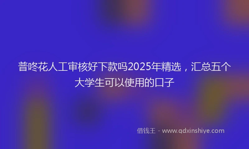 普咚花人工审核好下款吗2025年精选，汇总五个大学生可以使用的口子
