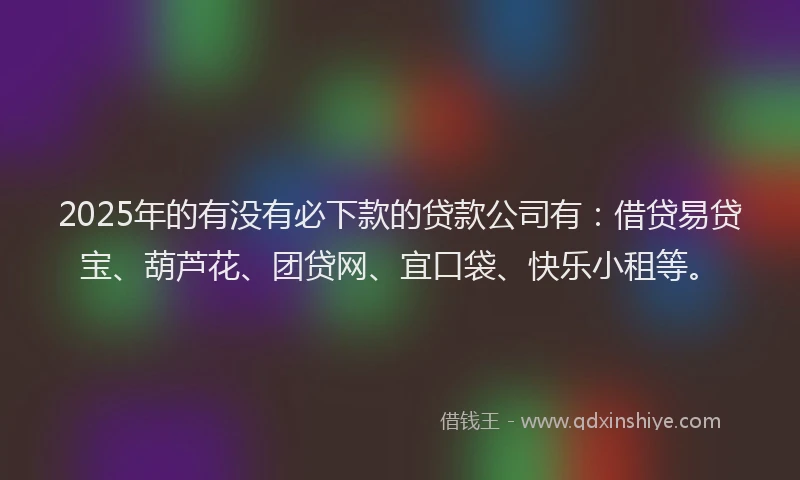 2025年的有没有必下款的贷款公司有：借贷易贷宝、葫芦花、团贷网、宜口袋、快乐小租等。