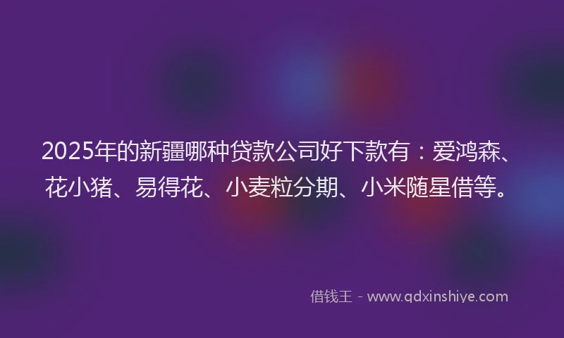 2025年的新疆哪种贷款公司好下款有：爱鸿森、花小猪、易得花、小麦粒分期、小米随星借等。