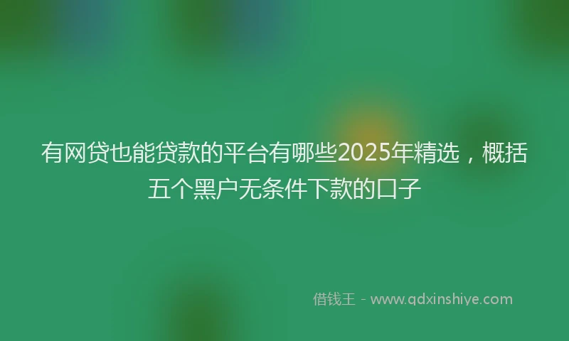 有网贷也能贷款的平台有哪些2025年精选，概括五个黑户无条件下款的口子