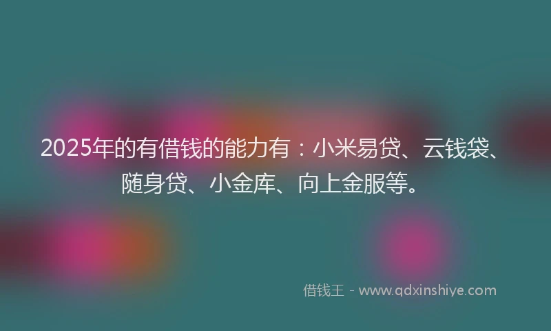 2025年的有借钱的能力有：小米易贷、云钱袋、随身贷、小金库、向上金服等。