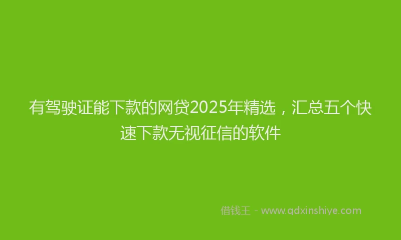 有驾驶证能下款的网贷2025年精选，汇总五个快速下款无视征信的软件