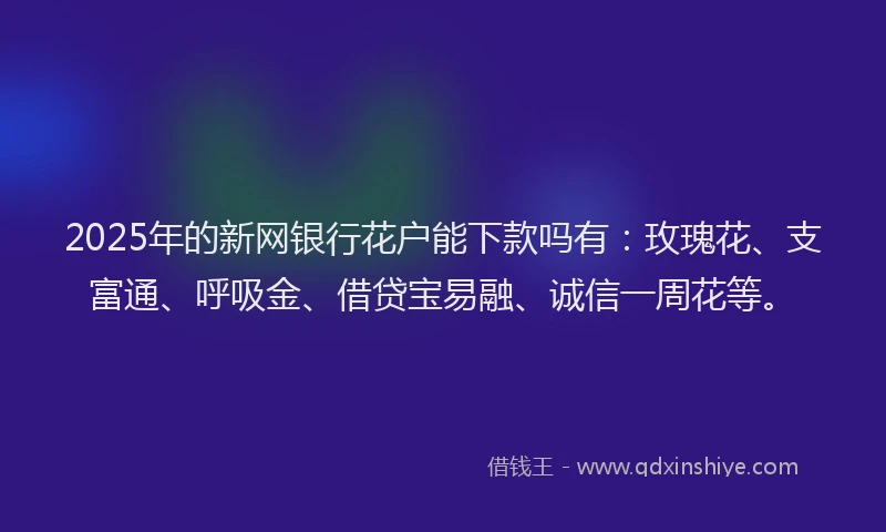 2025年的新网银行花户能下款吗有：玫瑰花、支富通、呼吸金、借贷宝易融、诚信一周花等。