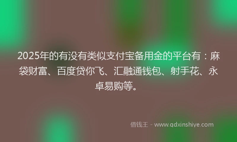 2025年的有没有类似支付宝备用金的平台有：麻袋财富、百度贷你飞、汇融通钱包、射手花、永卓易购等。