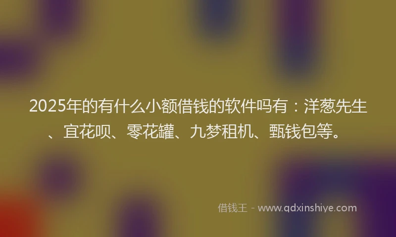 2025年的有什么小额借钱的软件吗有：洋葱先生、宜花呗、零花罐、九梦租机、甄钱包等。