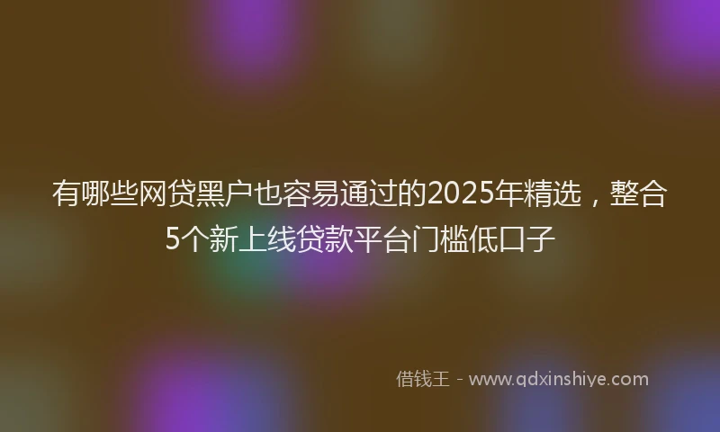 有哪些网贷黑户也容易通过的2025年精选，整合5个新上线贷款平台门槛低口子