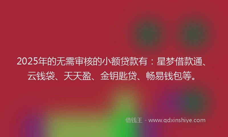 2025年的无需审核的小额贷款有：星梦借款通、云钱袋、天天盈、金钥匙贷、畅易钱包等。