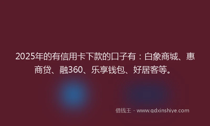 2025年的有信用卡下款的口子有：白象商城、惠商贷、融360、乐享钱包、好居客等。
