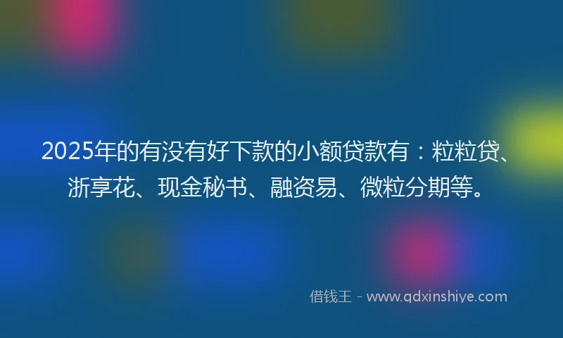 2025年的有没有好下款的小额贷款有：粒粒贷、浙享花、现金秘书、融资易、微粒分期等。