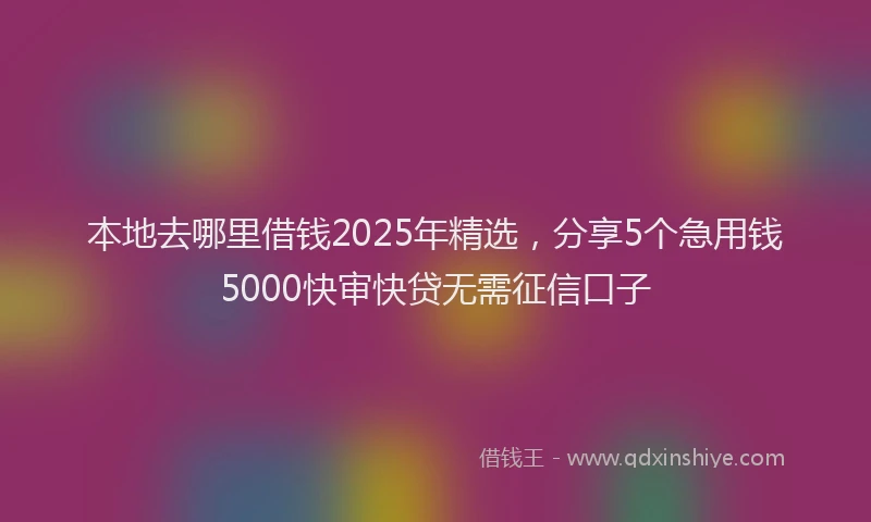 本地去哪里借钱2025年精选，分享5个急用钱5000快审快贷无需征信口子