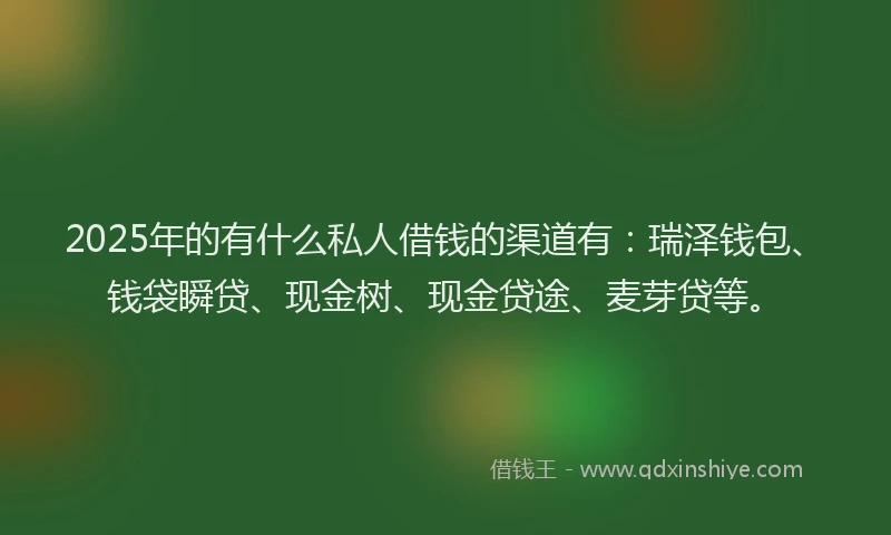 2025年的有什么私人借钱的渠道有：瑞泽钱包、钱袋瞬贷、现金树、现金贷途、麦芽贷等。