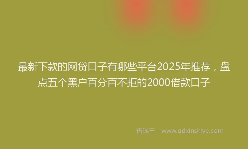 最新下款的网贷口子有哪些平台2025年推荐，盘点五个黑户百分百不拒的2000借款口子