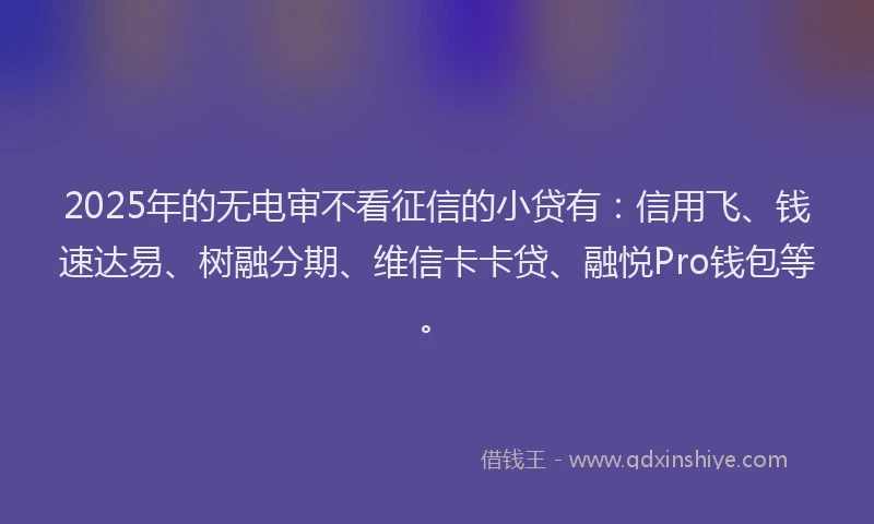 2025年的无电审不看征信的小贷有：信用飞、钱速达易、树融分期、维信卡卡贷、融悦Pro钱包等。