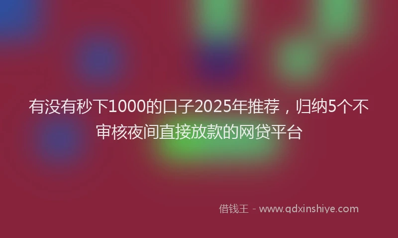 有没有秒下1000的口子2025年推荐，归纳5个不审核夜间直接放款的网贷平台