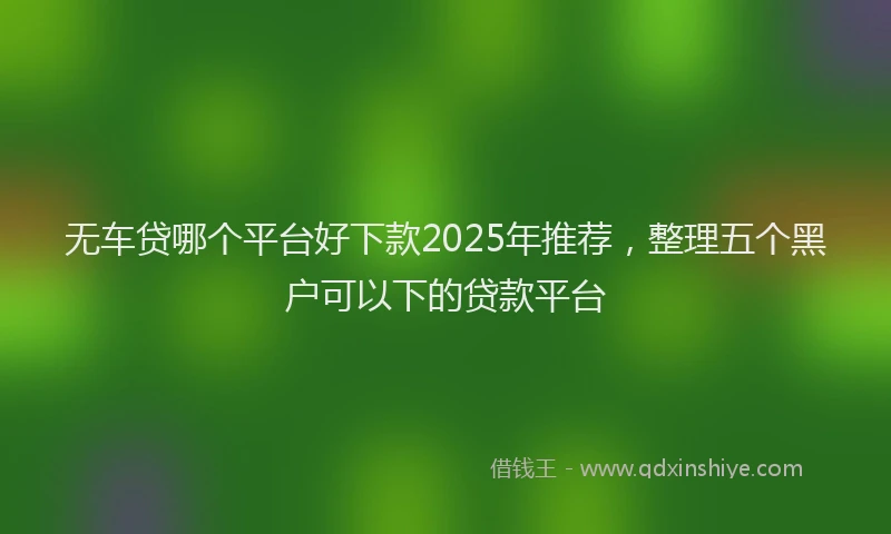无车贷哪个平台好下款2025年推荐，整理五个黑户可以下的贷款平台