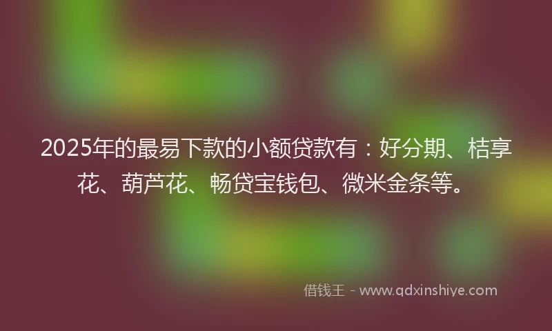 2025年的最易下款的小额贷款有：好分期、桔享花、葫芦花、畅贷宝钱包、微米金条等。