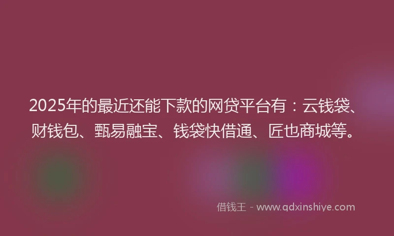 2025年的最近还能下款的网贷平台有：云钱袋、财钱包、甄易融宝、钱袋快借通、匠也商城等。
