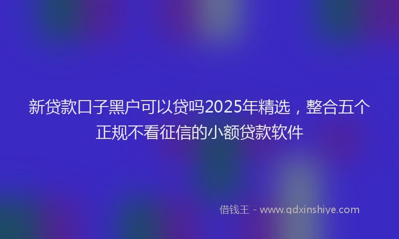 新贷款口子黑户可以贷吗2025年精选，整合五个正规不看征信的小额贷款软件