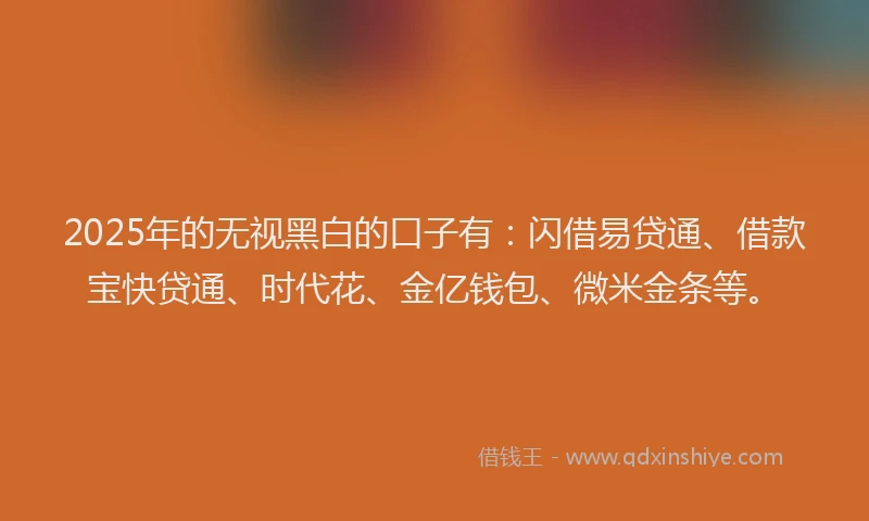2025年的无视黑白的口子有：闪借易贷通、借款宝快贷通、时代花、金亿钱包、微米金条等。