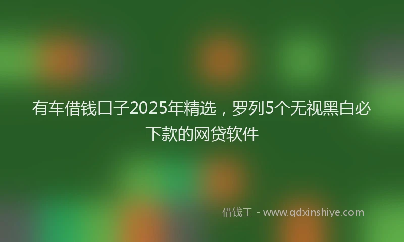 有车借钱口子2025年精选，罗列5个无视黑白必下款的网贷软件