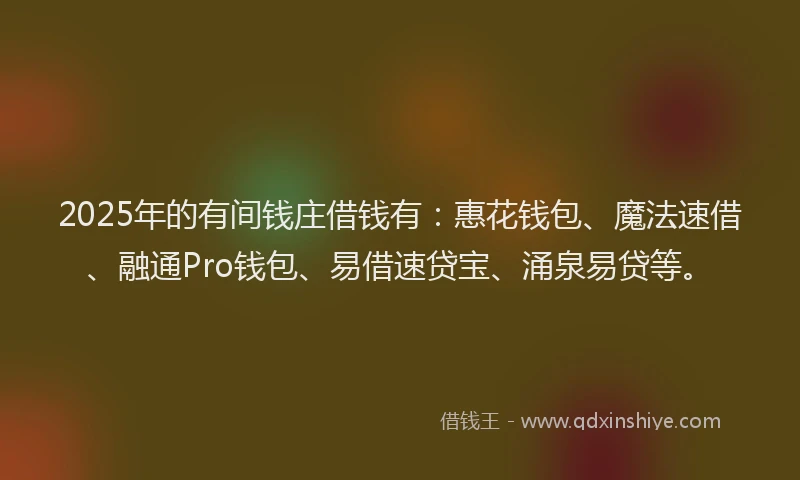 2025年的有间钱庄借钱有：惠花钱包、魔法速借、融通Pro钱包、易借速贷宝、涌泉易贷等。
