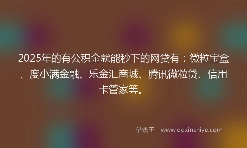 2025年的有公积金就能秒下的网贷有：微粒宝盒、度小满金融、乐金汇商城、腾讯微粒贷、信用卡管家等。