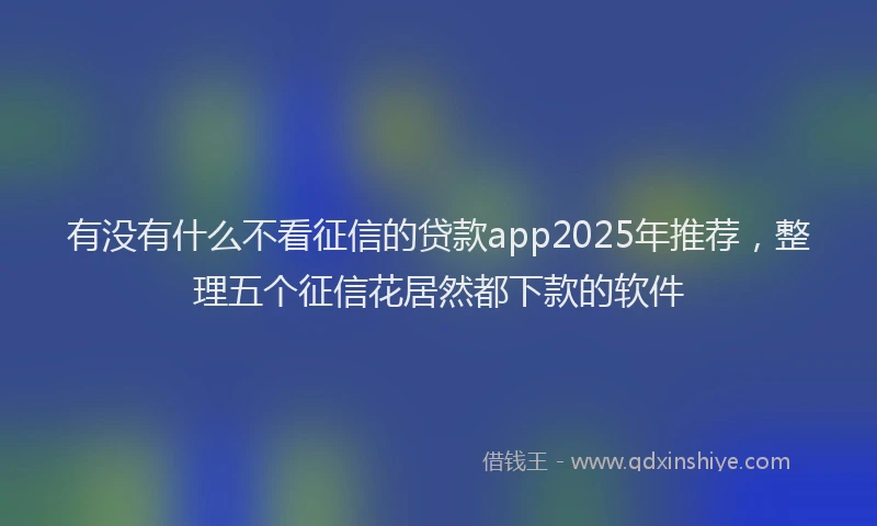 有没有什么不看征信的贷款app2025年推荐，整理五个征信花居然都下款的软件